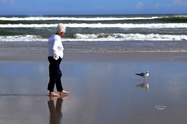 Talking and Walking with Seagull on Daytona Beach